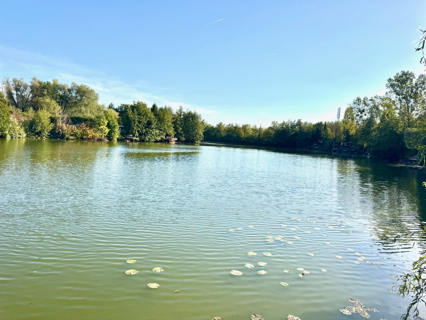 A céder CHALET au bord d'un étang à Vaux 85 000 EUR FAI