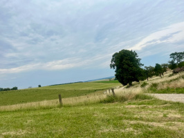 TERRAIN A MONTFAUCON D'ARGONNE
